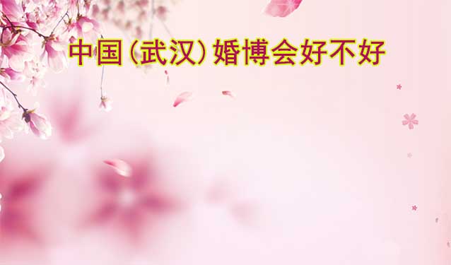 中國(武漢)婚博會好不好？